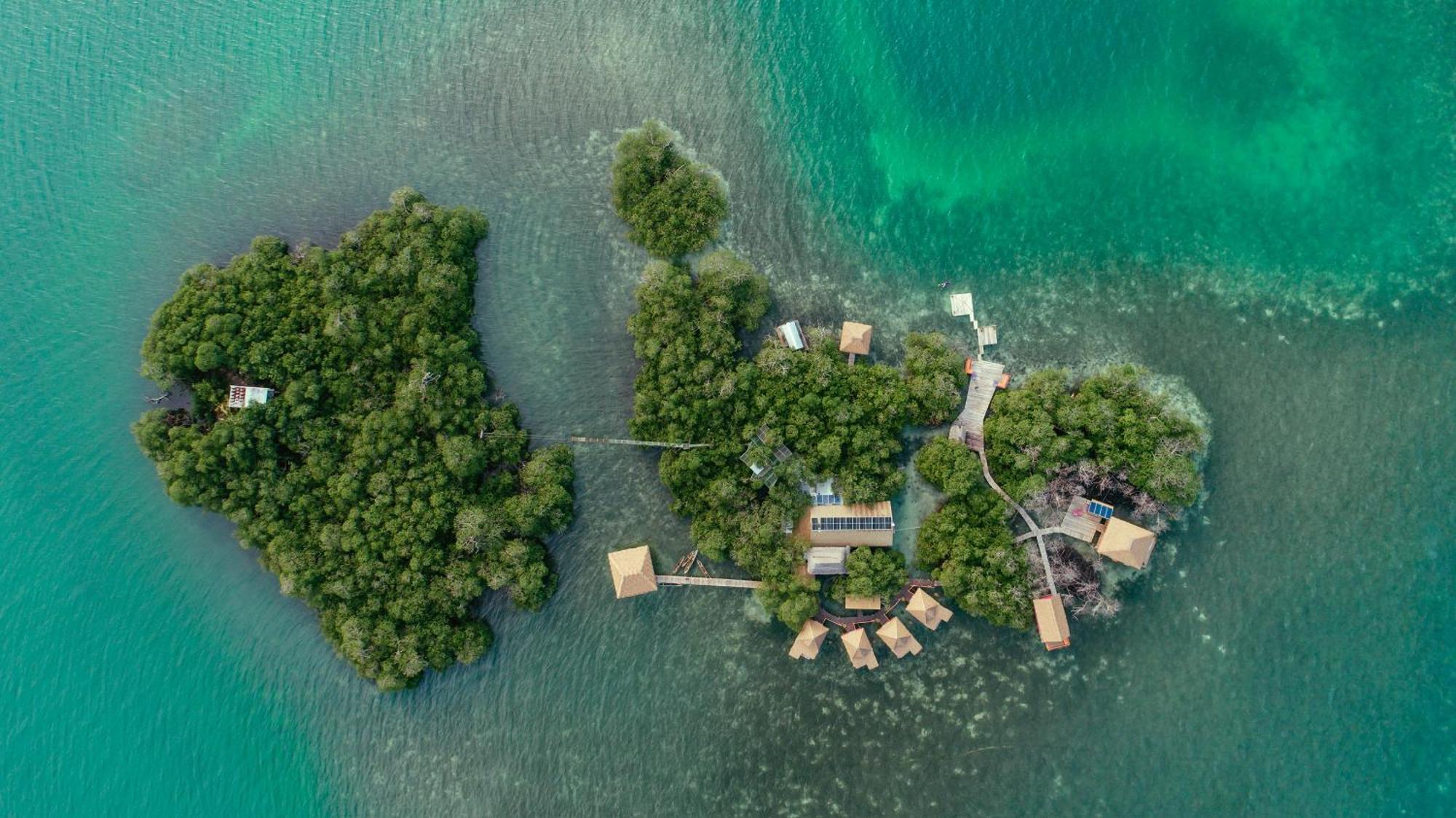 Urraca Monkey Island Eco Resort (Adults Only) Punta Laurel Εξωτερικό φωτογραφία