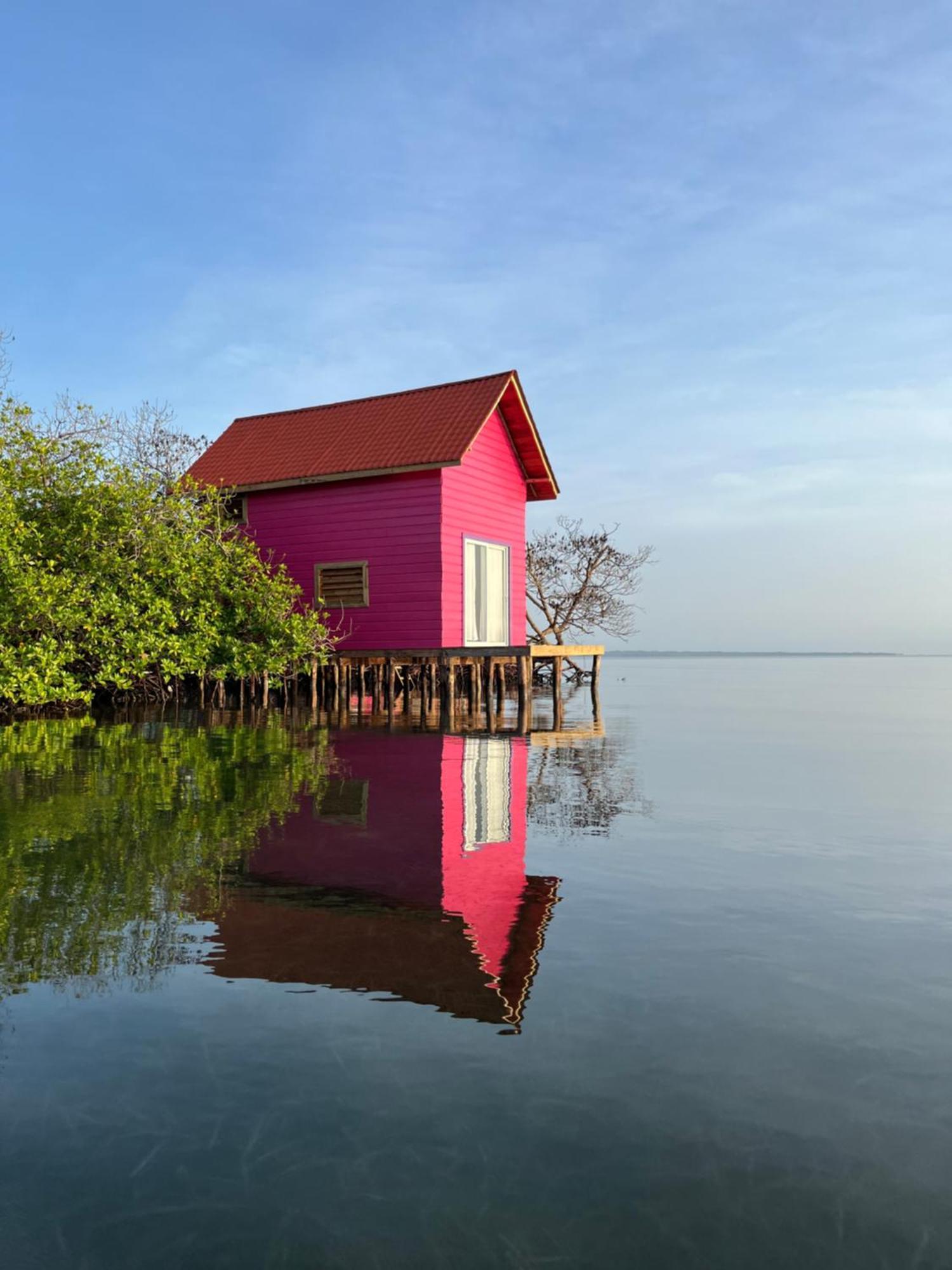 Urraca Monkey Island Eco Resort (Adults Only) Punta Laurel Εξωτερικό φωτογραφία