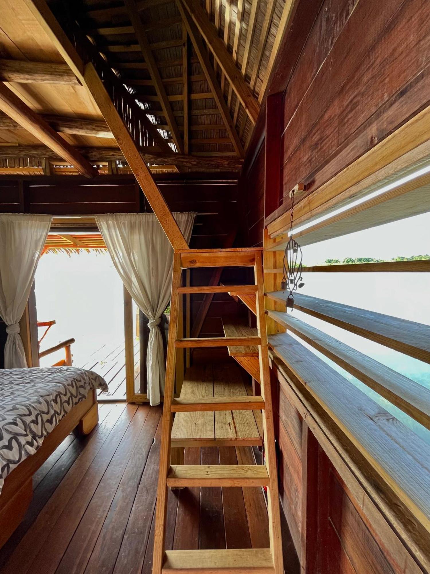 Urraca Monkey Island Eco Resort (Adults Only) Punta Laurel Δωμάτιο φωτογραφία