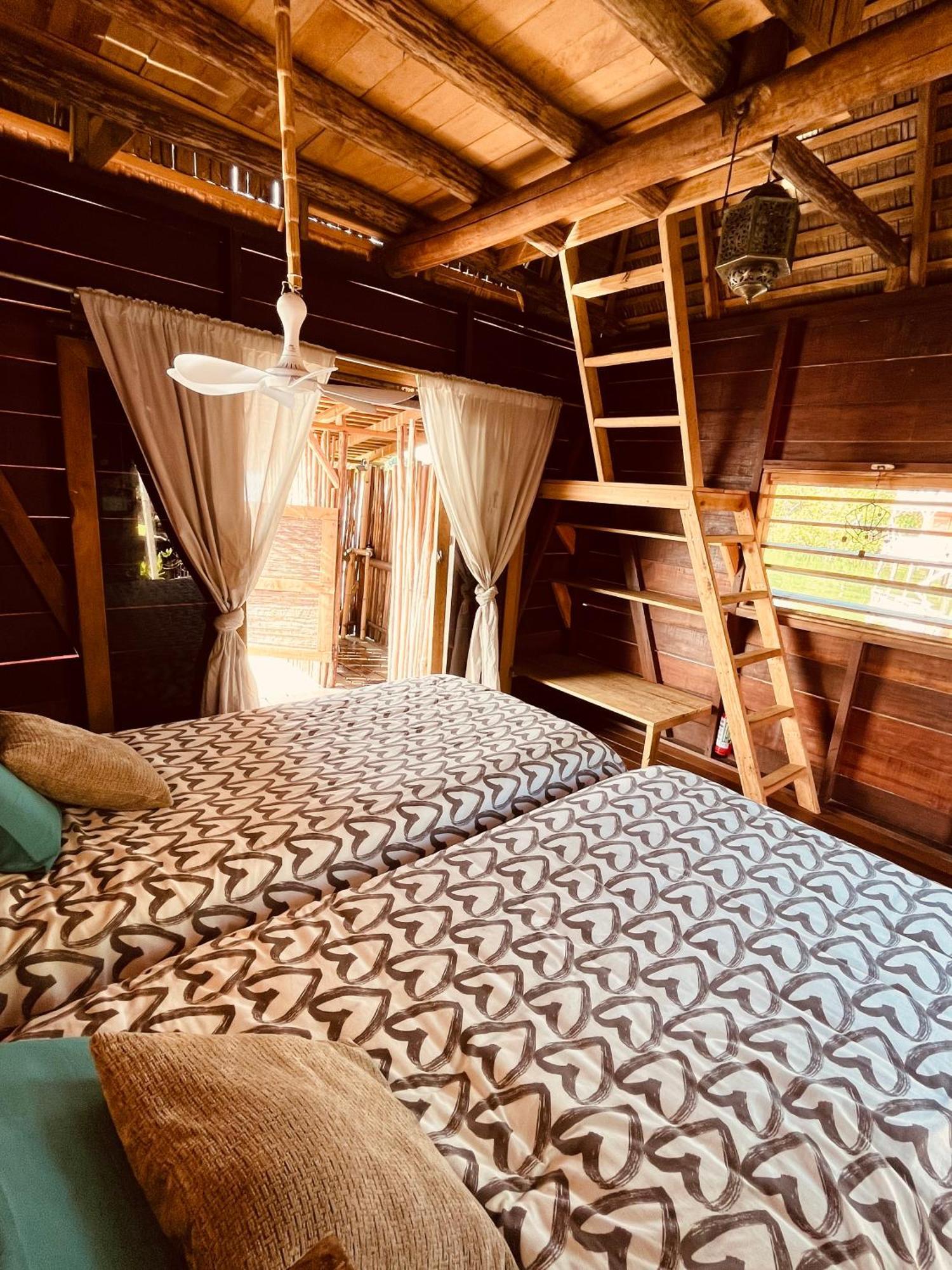 Urraca Monkey Island Eco Resort (Adults Only) Punta Laurel Δωμάτιο φωτογραφία