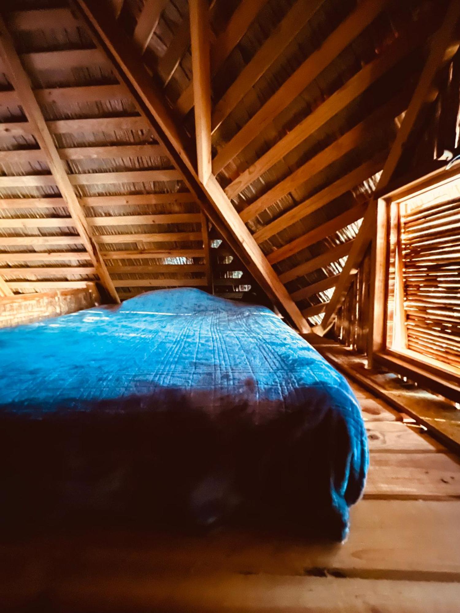 Urraca Monkey Island Eco Resort (Adults Only) Punta Laurel Δωμάτιο φωτογραφία