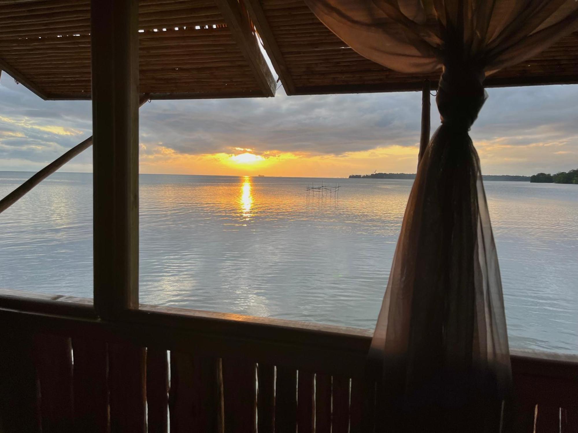 Urraca Monkey Island Eco Resort (Adults Only) Punta Laurel Δωμάτιο φωτογραφία