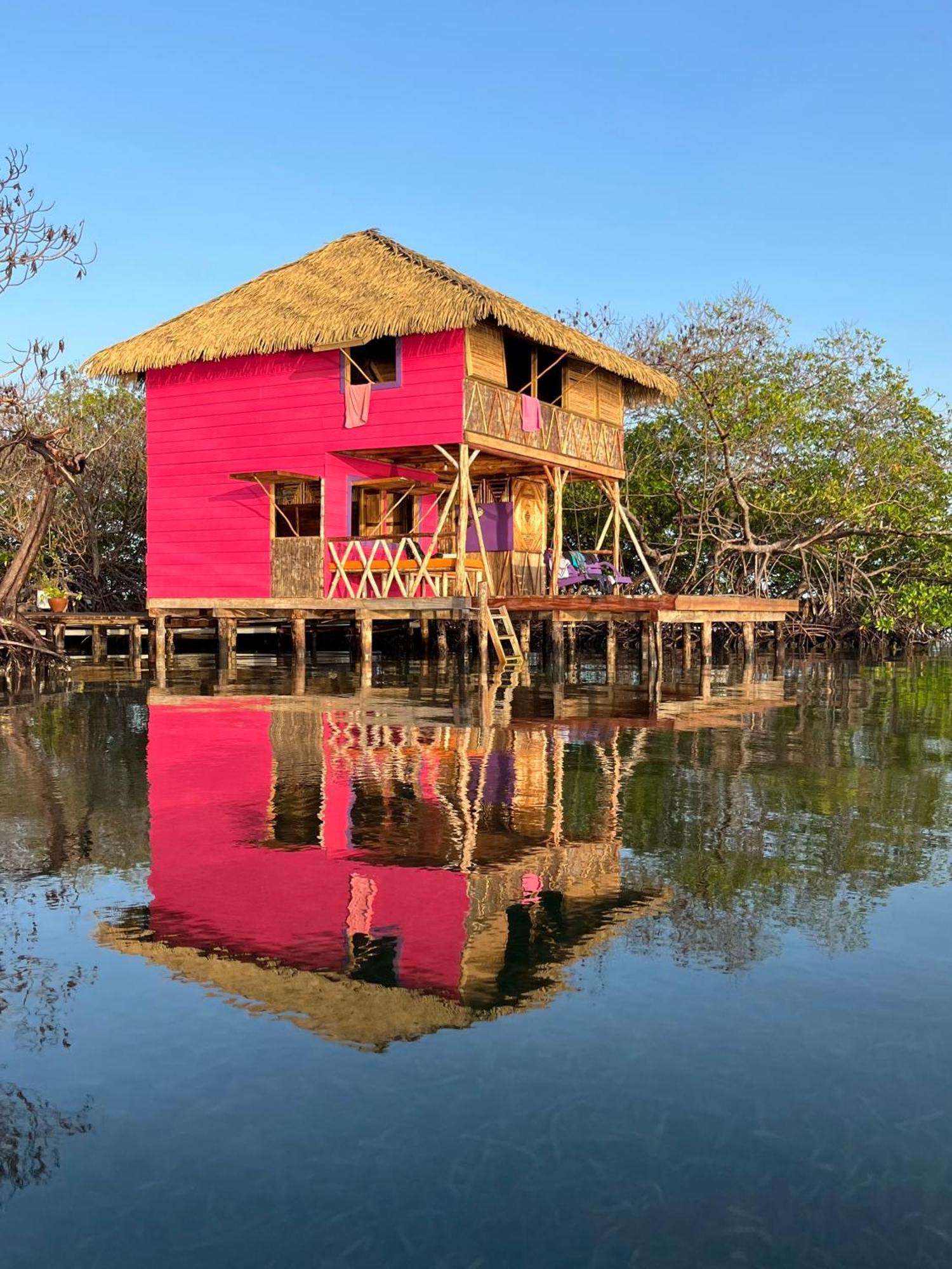Urraca Monkey Island Eco Resort (Adults Only) Punta Laurel Δωμάτιο φωτογραφία