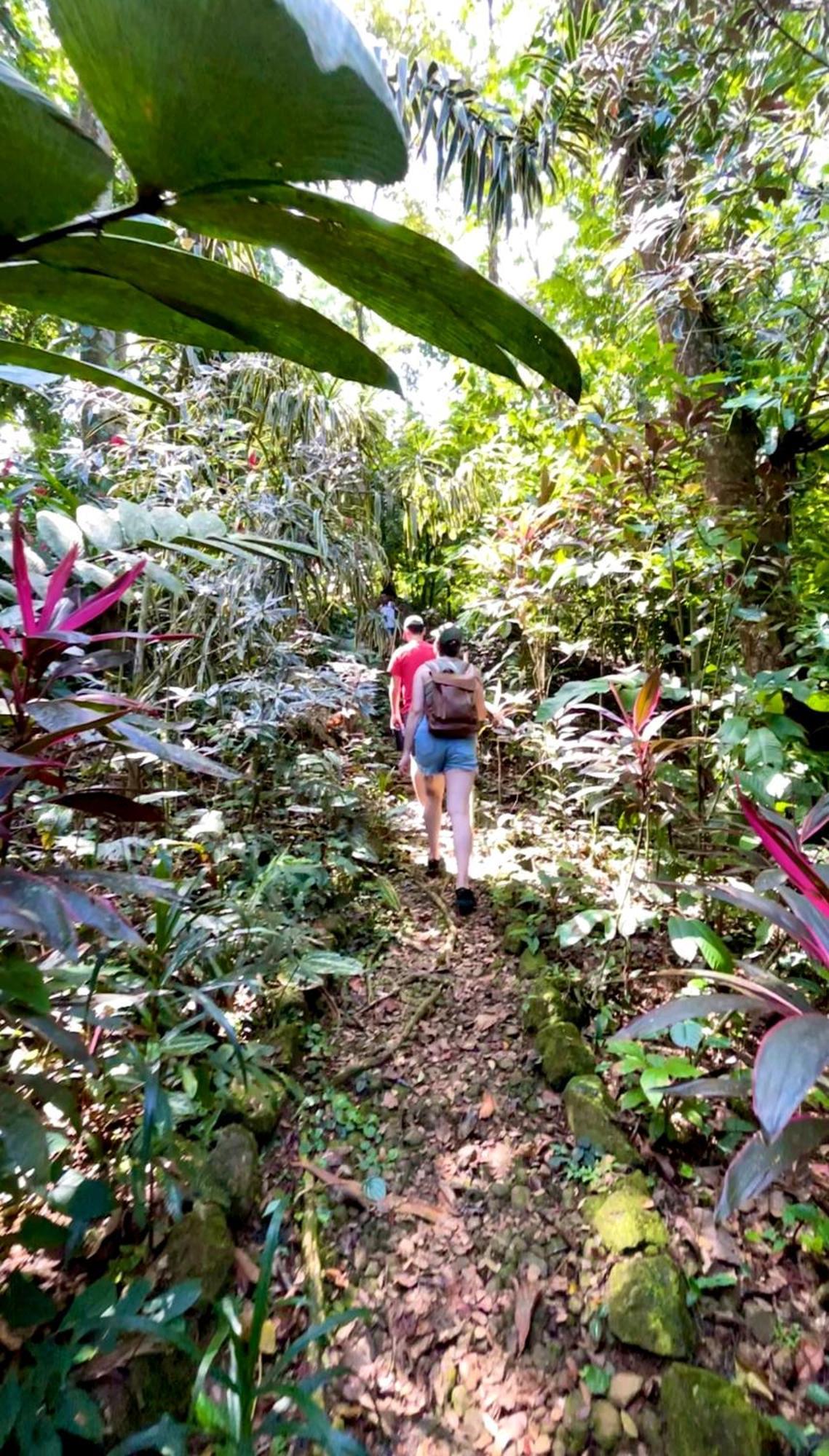 Urraca Monkey Island Eco Resort (Adults Only) Punta Laurel Εξωτερικό φωτογραφία
