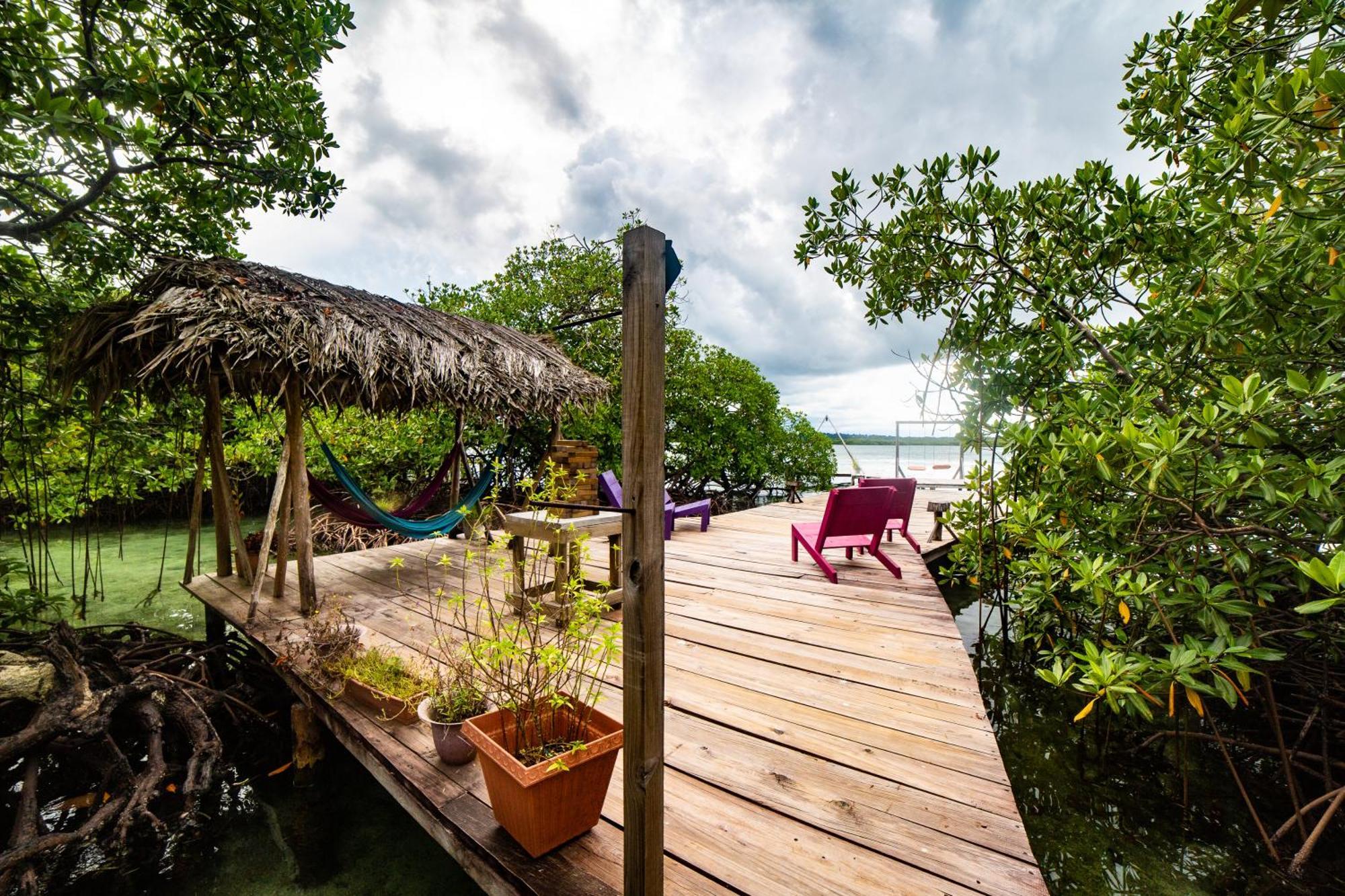 Urraca Monkey Island Eco Resort (Adults Only) Punta Laurel Εξωτερικό φωτογραφία